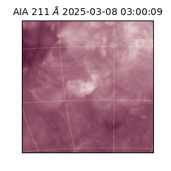 saia - 2025-03-08T03:00:09.626000