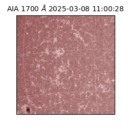 saia - 2025-03-08T11:00:28.720000