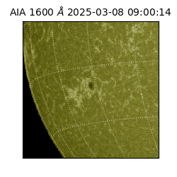 saia - 2025-03-08T09:00:14.129000