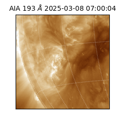 saia - 2025-03-08T07:00:04.844000