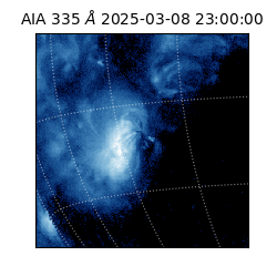 saia - 2025-03-08T23:00:00.625000