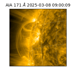 saia - 2025-03-08T09:00:09.350000