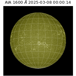 saia - 2025-03-08T00:00:14.126000