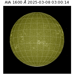 saia - 2025-03-08T03:00:14.126000