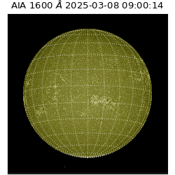 saia - 2025-03-08T09:00:14.129000
