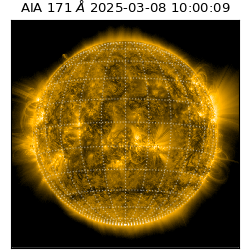 saia - 2025-03-08T10:00:09.350000