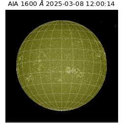 saia - 2025-03-08T12:00:14.125000