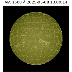 saia - 2025-03-08T13:00:14.126000
