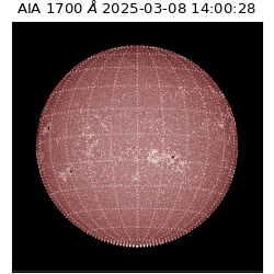 saia - 2025-03-08T14:00:28.709000