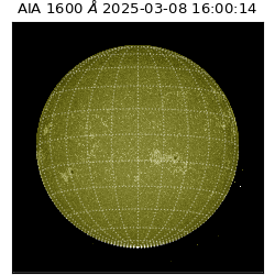 saia - 2025-03-08T16:00:14.125000