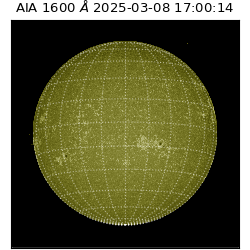 saia - 2025-03-08T17:00:14.126000