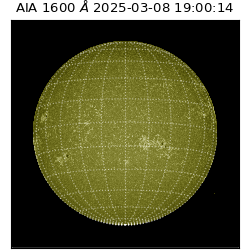 saia - 2025-03-08T19:00:14.133000