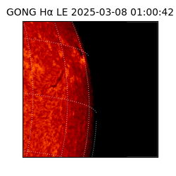 gong - 2025-03-08T01:00:42