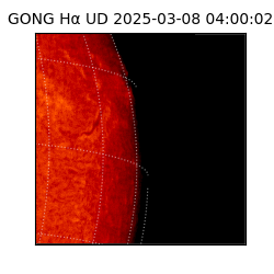 gong - 2025-03-08T04:00:02