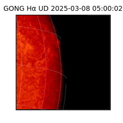 gong - 2025-03-08T05:00:02