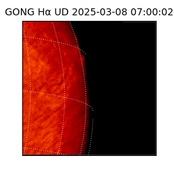 gong - 2025-03-08T07:00:02
