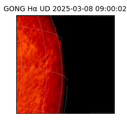 gong - 2025-03-08T09:00:02