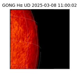 gong - 2025-03-08T11:00:02