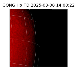 gong - 2025-03-08T14:00:22