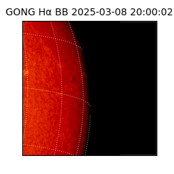 gong - 2025-03-08T20:00:02