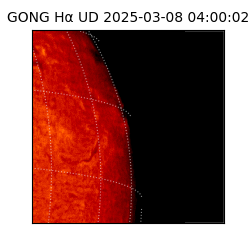gong - 2025-03-08T04:00:02