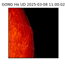 gong - 2025-03-08T11:00:02