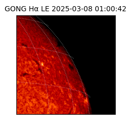 gong - 2025-03-08T01:00:42