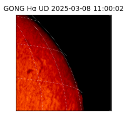 gong - 2025-03-08T11:00:02
