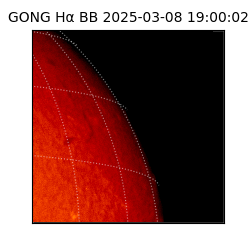 gong - 2025-03-08T19:00:02