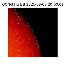 gong - 2025-03-08T20:00:02