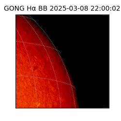 gong - 2025-03-08T22:00:02