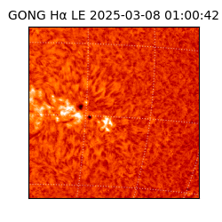 gong - 2025-03-08T01:00:42