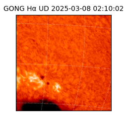 gong - 2025-03-08T02:10:02