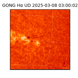 gong - 2025-03-08T03:00:02