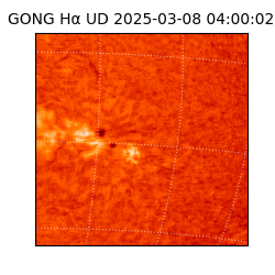 gong - 2025-03-08T04:00:02