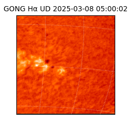 gong - 2025-03-08T05:00:02