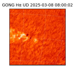 gong - 2025-03-08T08:00:02