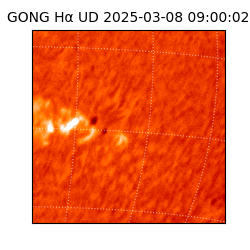 gong - 2025-03-08T09:00:02