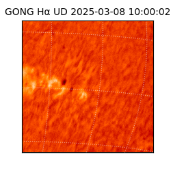 gong - 2025-03-08T10:00:02