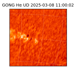 gong - 2025-03-08T11:00:02