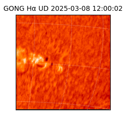 gong - 2025-03-08T12:00:02