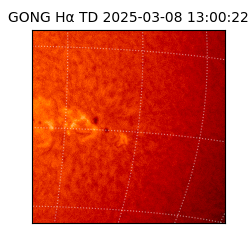 gong - 2025-03-08T13:00:22