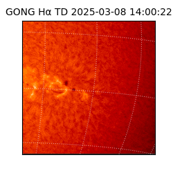 gong - 2025-03-08T14:00:22