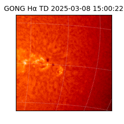 gong - 2025-03-08T15:00:22