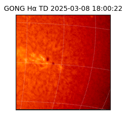 gong - 2025-03-08T18:00:22