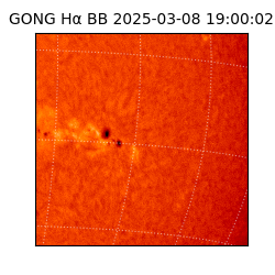 gong - 2025-03-08T19:00:02