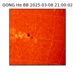 gong - 2025-03-08T21:00:02