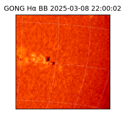 gong - 2025-03-08T22:00:02