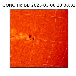 gong - 2025-03-08T23:00:02