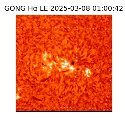 gong - 2025-03-08T01:00:42